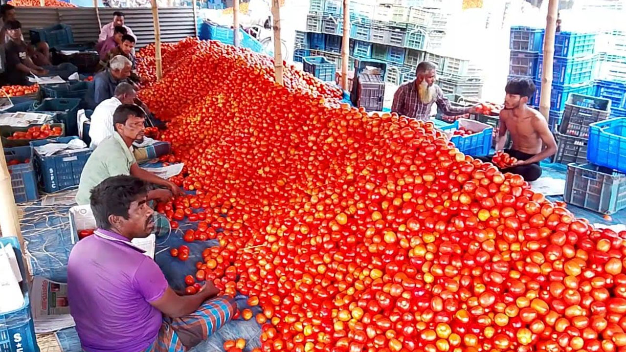 প্রতিদিন ২ কোটি টাকার টমেটো বেচাকেনা হয় যে বাজারে
